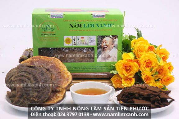 Bài thuốc thanh-thiết-bảo-sinh chữa bệnh nan y bằng nấm lim xanh Quảng Nam