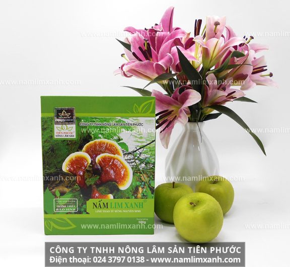 Công ty Nấm lim xanh Đại ngàn Tiên Phước bán nấm cây lim chất lượng