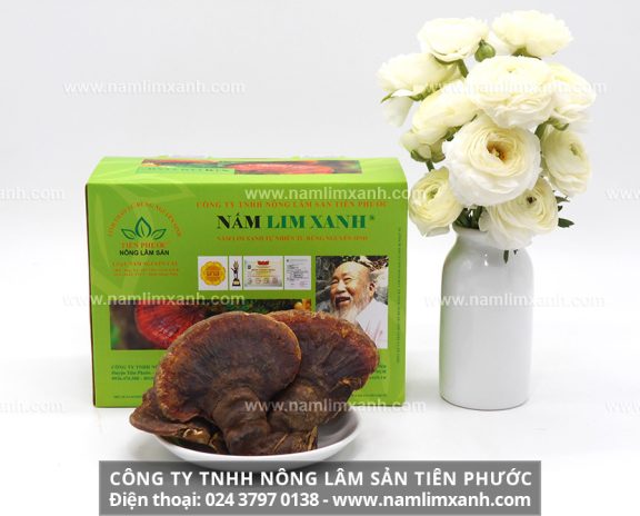 Công ty Nấm lim xanh Đại ngàn Tiên Phước có bán nấm lim tại Ninh Bình