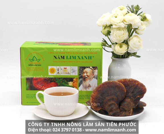Công ty Nấm lim xanh Đại ngàn Tiên Phước có đại lý bán nấm ở Hưng Yên