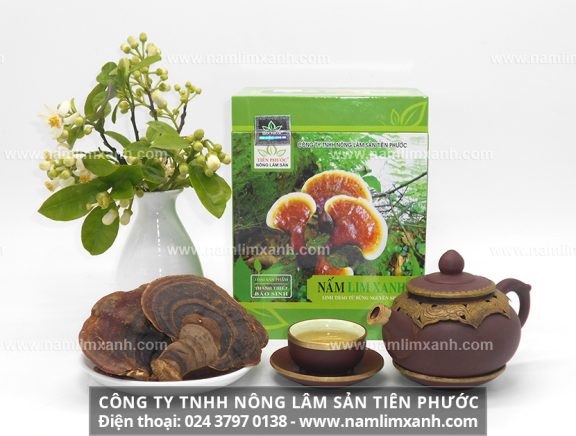 Đại lý phân phối nấm lim xanh rừng chính hãng có mặt tại Bắc Giang