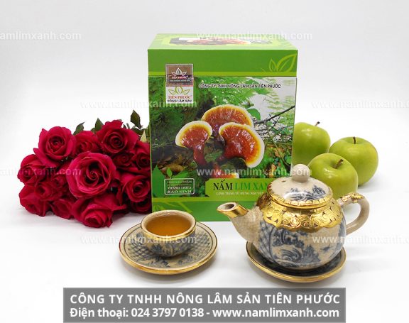 Địa chỉ bán nấm lim xanh ở Bình Thuận với giá nấm lim rừng bao nhiêu