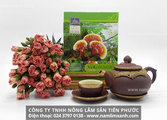 Địa chỉ mua nấm lim xanh công ty TNHH Nông lâm sản Tiên Phước