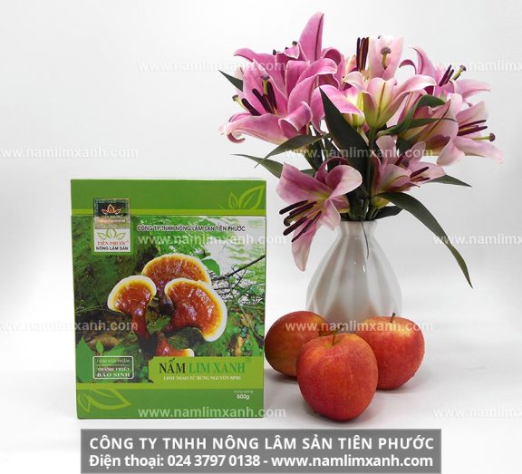 Địa chỉ mua nấm lim xanh rừng chất lượng có ở đâu tại tỉnh Hà Tĩnh