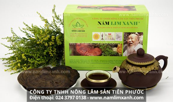 Mua nấm lim xanh chính hãng ở Bình Thuận và cách chế biến nấm lim xanh