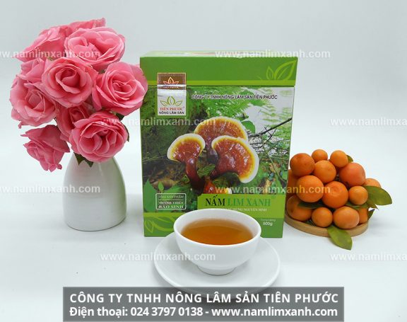 Mua nấm lim xanh tại các đại lý của Công ty TNHH Nấm lim xanh Thiên Nhiên Quảng Nam được Công ty  chịu trách nhiệm về chất lượng