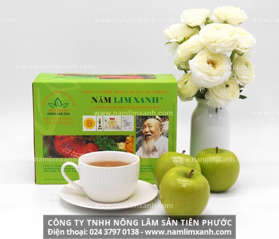 Nấm lim rừng với nhận biết hình ảnh nấm lim xanh tự nhiên Tiên Phước