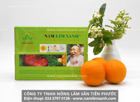 Nấm lim xanh chữa bệnh gì và công dụng nấm lim rừng điều trị bệnh gì?