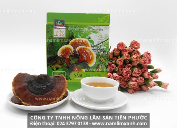 Nơi mua nấm lim xanh ở Thái Nguyên và công dụng nấm lim rừng ra sao?