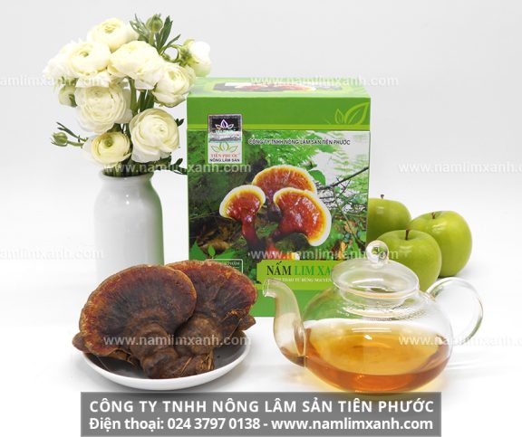 Sản phẩm Nấm lim xanh của Công ty TNHH Nấm lim xanh Thiên Nhiên Quảng Nam