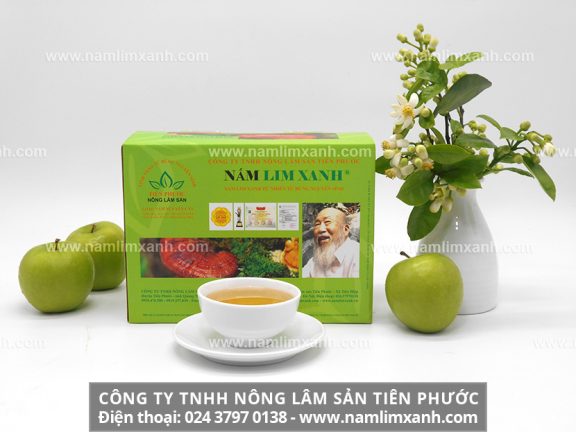 Sản phẩm nấm lim xanh chính hiệu từ Công ty TNHH Nấm Lim Xanh Đại Ngàn Tiên Phước và danh sách đại lý bán nấm lim xanh chính hãng