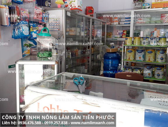 Đại lý bán nấm Công ty Nấm lim xanh Đại ngàn Tiên Phước có ở Thanh Hoá