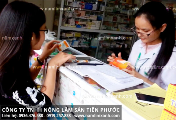 Giá nấm lim xanh Quảng Nam và giá 1kg nấm lim xanh tại Bình Thuận