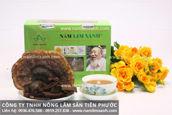 Mua nấm lim xanh chính hãng ở Bình Thuận và cách chế biến nấm lim xanh