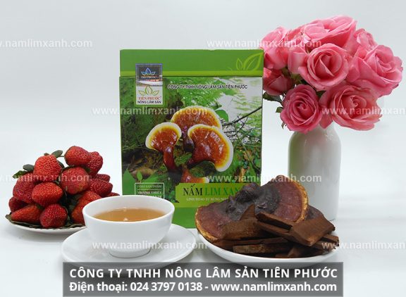 Tác dụng của nấm lim chữa bệnh ung thư và công dụng nấm lim xanh rừng