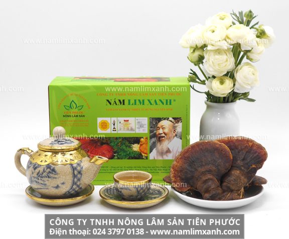 Cách nấu nấm lim xanh và cách sắc nấm lim xanh Tiên Phước như thế nào