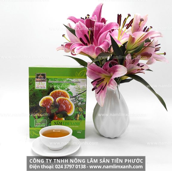 Giá nấm lim xanh Quảng Nam và giá 1kg nấm lim rừng tự nhiên chính hãng