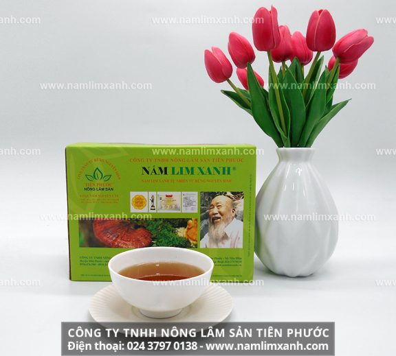 Nấm lim xanh Tiên Phước và thu hái nấm lim xanh Tiên Phước Quảng Nam