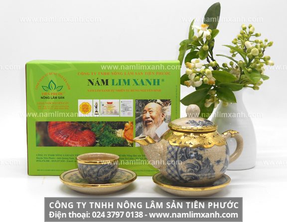 Nấm lim xanh Công ty Tiên Phước và tìm kiếm nấm lim xanh Tiên Phước