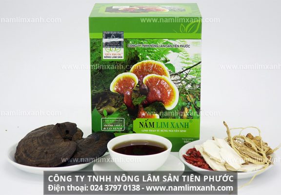 Địa chỉ bán nấm lim xanh chính hãng ở Khánh Hòa và giá bán nấm lim rừng tự nhiên