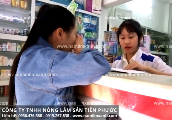Bán nấm lim xanh Tiên Phước tại Tuyên Quang và tác dụng nấm lim xanh