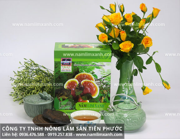 Mua nấm lim xanh tại Tuyên Quang và giá bán nấm lim xanh bao nhiêu?