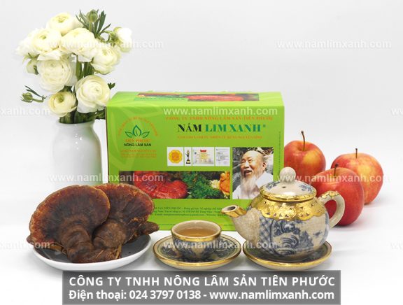 Cách chế biến nấm lim xanh và cách hãm trà nấm gỗ lim xanh Tiên Phước