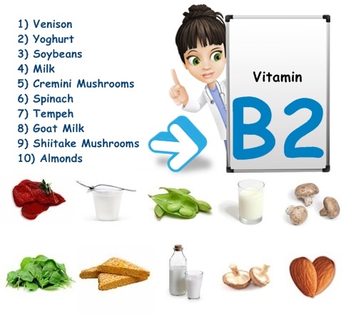 vitamin b2 có trong thực phẩm nào?