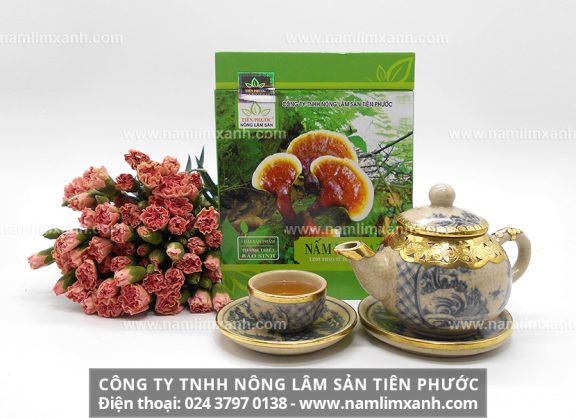 Hướng dẫn sử dụng nấm lim xanh và cách nấu nước nấm cây lim xanh rừng