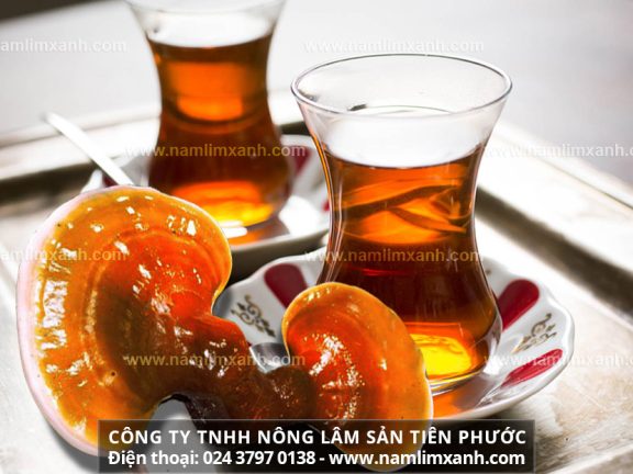 Lưu ý về hướng dẫn sử dụng nấm lim xanh và cách chế biến nấm lim xanh