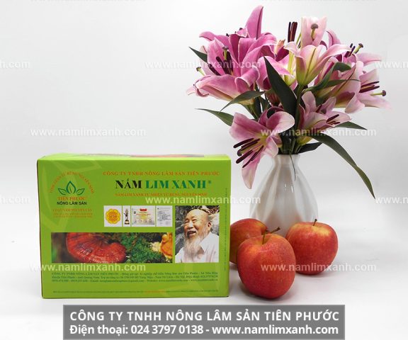 Mua nấm lim xanh tự nhiên Tiên Phước và lưu ý khi mua nấm lim rừng