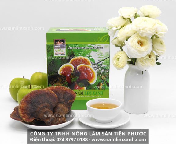 Nấm lim chữa bệnh gì và nấm lim xanh rừng hỗ trợ chữa trị bệnh huyết áp