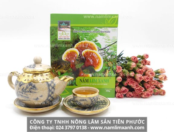 Nấm lim xanh chữa bệnh men gan cao và cách dùng nấm gỗ lim hiệu quả