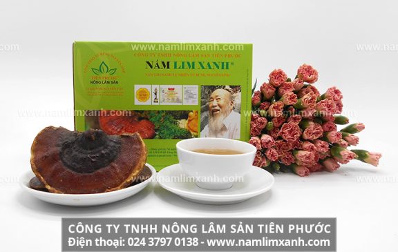 Nấm lim xanh mua ở đâu và địa chỉ bán nấm lim rừng tại Hà Nội