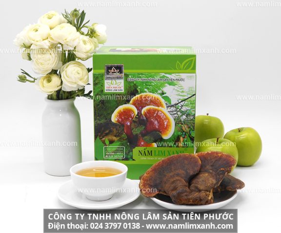 Công ty TNHH Nấm Lim Xanh Thiên Nhiên Quảng Nam là đơn vị uy tín trong phân phối các sản phẩm nấm lim xanh