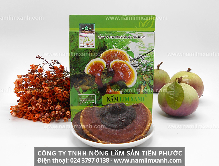 Uống nấm lim xanh nhiều có tốt không tránh tác hại nấm lim xanh?