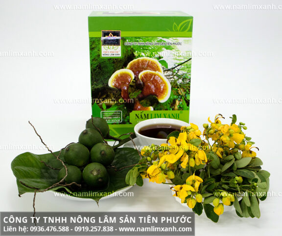 Nấm lim xanh mua ở đâu và địa chỉ bán nấm lim rừng tại Hà Nội