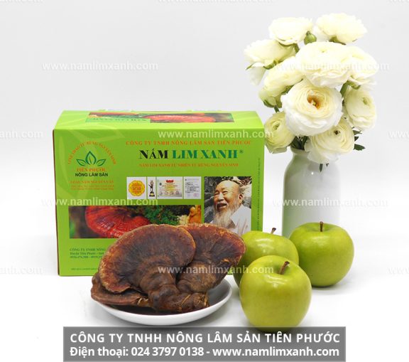 Nấm lim xanh Tiên Phước mua ở đâu và mua bán nấm lim xanh Tiên Phước