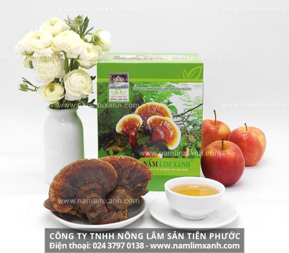 Nấm lim xanh Tiên Phước mua ở đâu với giá nấm lim xanh tự nhiên 1kg