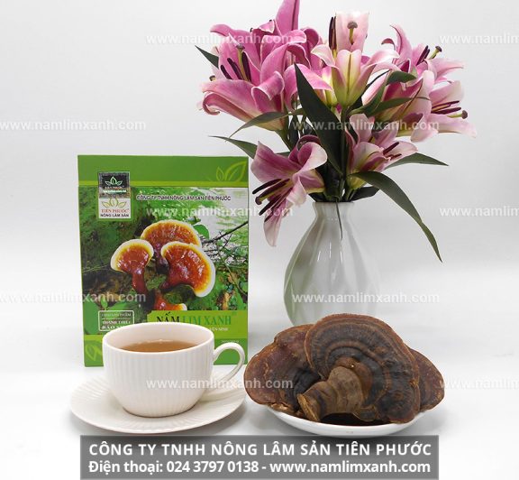 Cách sử dụng nấm lim xanh sắc uống và cách dùng nấm lim ngâm mật ong