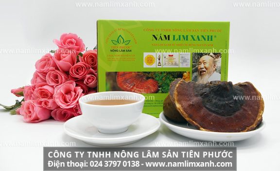 Công dụng nấm lim xanh chữa ung thư phổi và tác dụng dược chất nấm lim