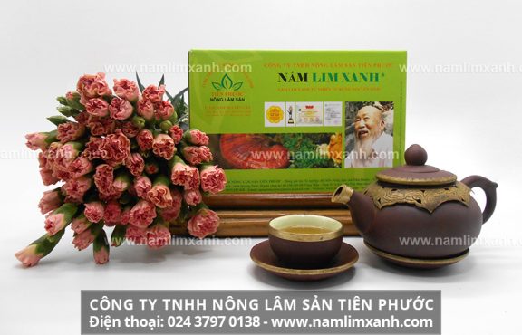 Địa chỉ bán nấm lim xanh ở Quảng Trị và tác dụng nấm lim xanh Việt Nam