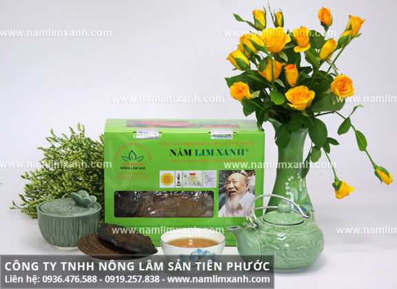 Tác dụng của nấm lim xanh Lào và nấm lim xanh Tiên Phước Quảng Nam