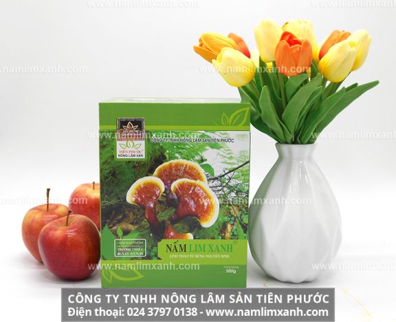 Giá bán nấm lim xanh tự nhiên loại Thanh Thiết Bảo Sinh bao nhiêu 1kg