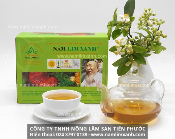Mua nấm lim xanh tại Hà Nội và giá bán nấm lim xanh Quảng Nam